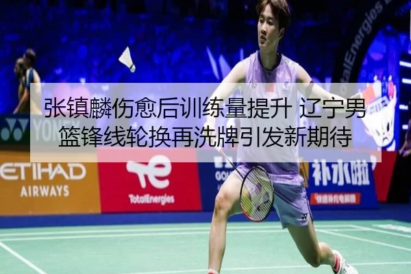 张镇麟伤愈后训练量提升 辽宁男篮锋线轮换再洗牌引发新期待 | aiyouxi