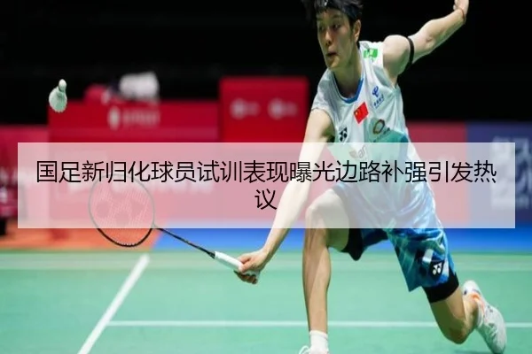 国足新归化球员试训表现曝光边路补强引发热议（ayx.com）